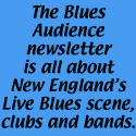 The Blues Audience