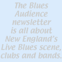 The Blues Audience